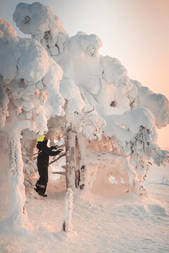 Child standing under heavily snow covered tree in Arctic Lapland winter landscape extreme cold outdoor adventure in Finland