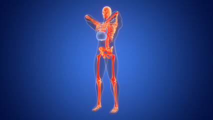 Human Lifting Kettlebell Weight in Upright Row Exercise Anatomy