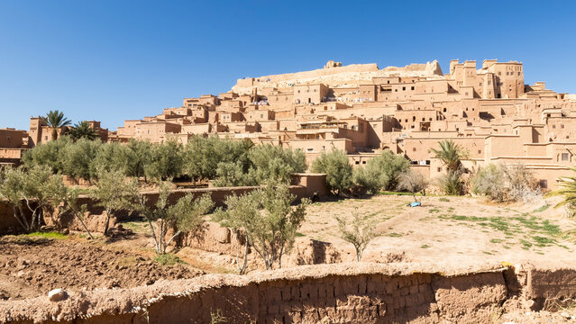 Ait Benhaddou Kasbah, a fortified village, rises on a hillside with trees in the foreground under a clear blue sky. Kasbah ait ben haddou,Marrakech,Morocco