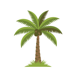 Palm Tree Illustration Isolated White.