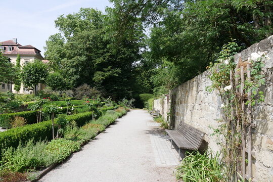 Gartenweg im Hofgarten von &Ouml;hringen mit Mauer und Hecken