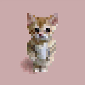 Cute Ginger Kitten Standing. Pixel Art Meme Style Vector Illustration