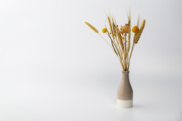 Dry flowers in a simple vase placed against a plain background on a bright day