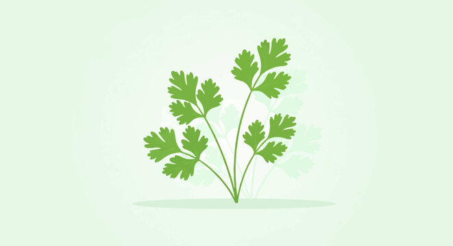 Green cilantro herb illustrated on a light green backdrop