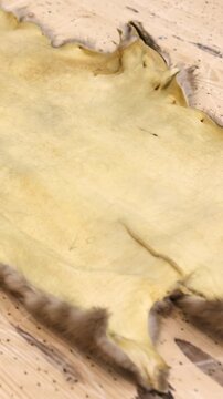Close up of a small animal hide on a wooden table with the inner leather surface visible. Furrier workshop scene showing natural pelt texture and preparation for handmade fur garments and luxury coats