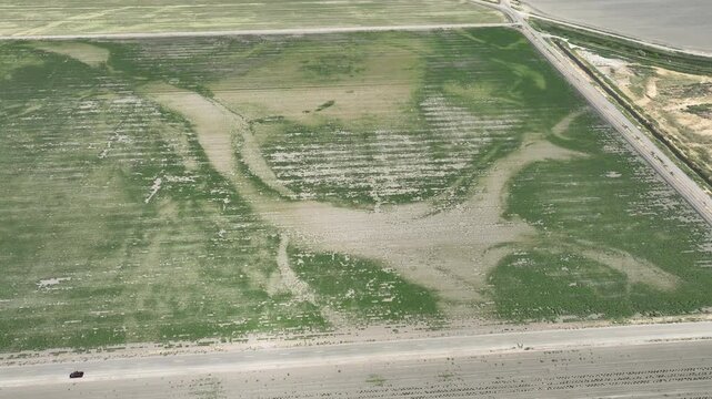 Tulare Lake Nearby Farmland Aerial Shot L in San Joaquin Valley California USA