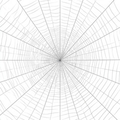 Fototapeta premium a simple line drawing of the center of an intricate spider web, white background