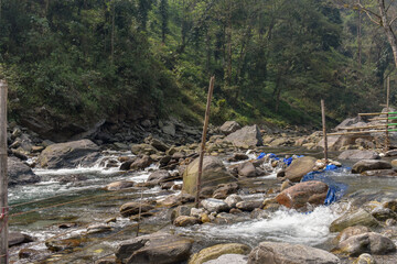 Mountain river flowing over rocks, clear green water, serene forest landscape in Sikkim.