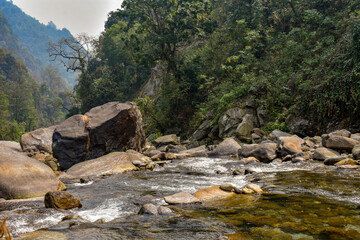 Mountain river flowing over rocks, clear green water, serene forest landscape in Sikkim.