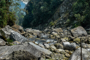Mountain river flowing over rocks, clear green water, serene forest landscape in Sikkim.