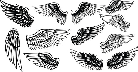 Stylized wing vector illustration set, decorative feather artwork collection, abstract angel bird designs, creative tattoo motif, fantasy symmetrical pattern © MstAlea