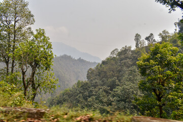 Lush green mountain hills with dense forest, scenic natural landscape in Sikkim. 