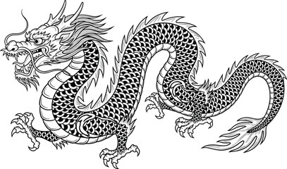 Traditional Chinese dragon vector illustration, detailed black and white artwork, mythical creature design, cultural fantasy motif, decorative serpentine pattern