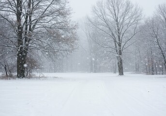 Obraz premium Heavy white flakes descend upon a serene winter landscape covering the ground and trees in fresh powdery snow during a heavy seasonal blizzard ,beautiful ,deep ,falling