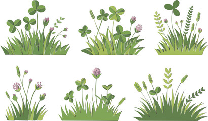 Summer Meadow Clover Plants Vector Illustration Set © Bonnakhatun