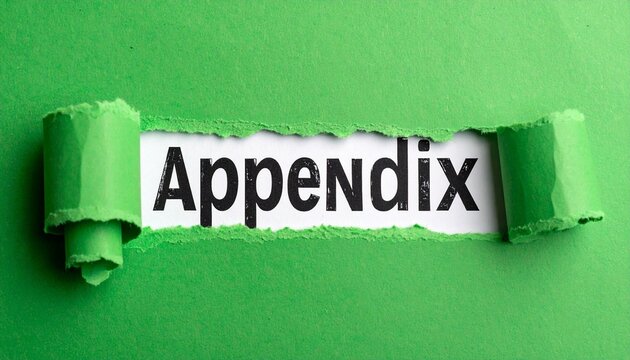 Torn Paper Revealing &lsquo;Appendix&rsquo; &ndash; Editorial Visual for Documentation, Lifestyle, or Informational Branding Themes