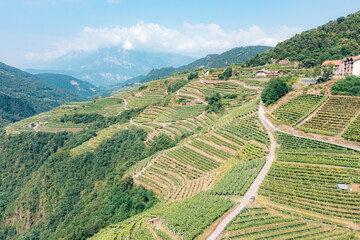 Fototapete bei efototapeten.de bestellen   