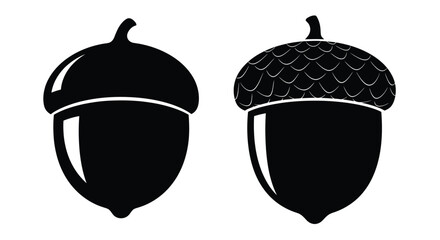 Two black and white illustrations of acorns showcasing different detailing © Sabbir