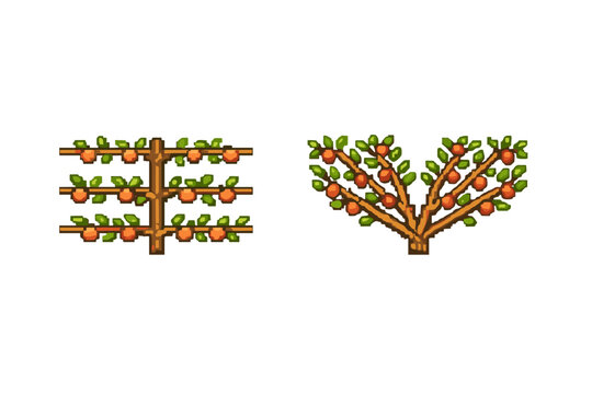 Two pixel art illustrations of fruit trees on a black background. One tree is trained in a horizontal espalier style, while the other is in a fan shape, both bearing orange fruit.