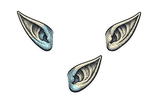 Three hand-drawn pointed elf ears are arranged on a black background. The illustration features a vintage engraving style with cross-hatched shading and subtle blue highlights.