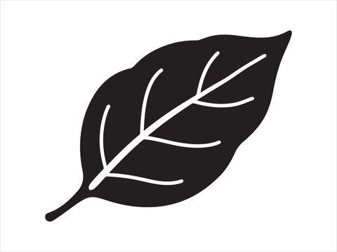 Basil leaf oval smooth silhouette vector, Silhouette basil leaf plant simple black vector illustration