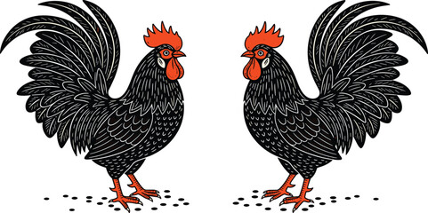 Rooster chicken vintage engraving illustration, farm poultry vector design, black feathered cockerel artwork, rustic agriculture emblem, traditional animal logo style © Motiur