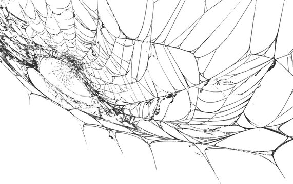 Realistic White Spider Web Overlay on Dark Background