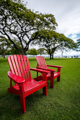 Fototapeta premium Close Up, red chairs on a green lawn surrounded by trees in a public park