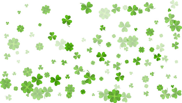 Green White St. Patricks Day bg. Flying clover leaves. Clover leaf as a symbol of good luck, traditional holiday of Ireland, beer festival. Vector background Illustration.
