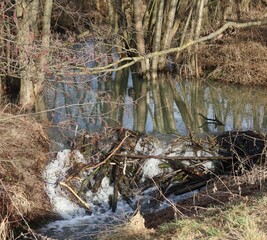 Reflection in the Beaver stream