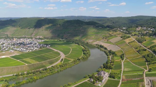 Trittenheim, Moselle Valley with loop of Mosel river, aerial view, riesling wine growing on vine, vineyard landscape and agriculture, Germany