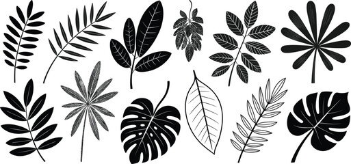 Set of black tropical leaf silhouettes including monstera palm and fern fronds isolated on white background for summer nature design patterns and botanical logos © Anayna Here