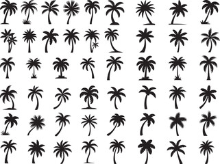 Palm Tree Silhouette Icon Set with Various Tropical Coconut Tree Shapes. vector