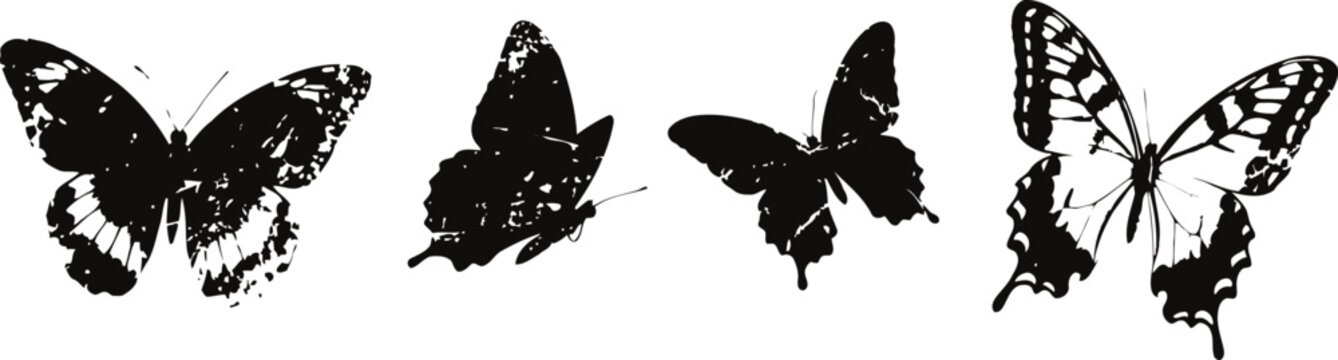 silhouettes of four different butterflies in flight with distinct wing patterns