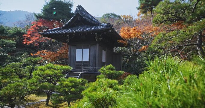 Autumn trees surrounding tiny, ancient Japanese structure - steady cam shot