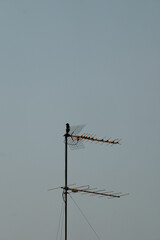 Rooftop television antenna against pale sky minimal composition, Vertical