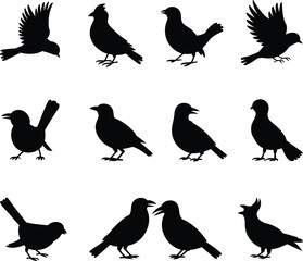 Obraz premium Collection of Black Bird Silhouettes in Various Poses Flying Standing and Singing Isolated on White Background, Vector Style Wildlife Illustration Set for Design