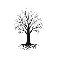 Obraz premium A grayscale image of a tree with bare branches on a black background