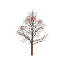 Obraz premium A tree with pink blossoms against a dark background