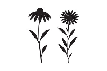 Two black silhouette flowers with detailed petals and leaves against a plain white background