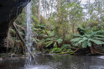 Kalimna Falls along Cumberland River trek, Great Ocean Road, Australia