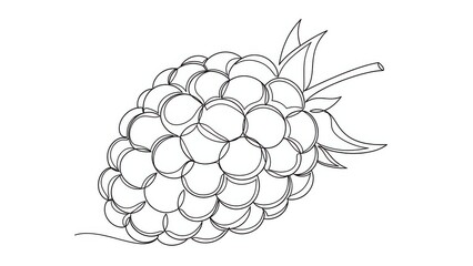 Single Line Drawing of a Raspberry, Minimalist Fruit Illustration