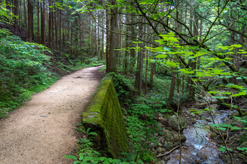 River flowing along the Nakasendo trail between Magome and Tsumago, Japan