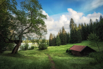 Fototapete bei efototapeten.de bestellen   