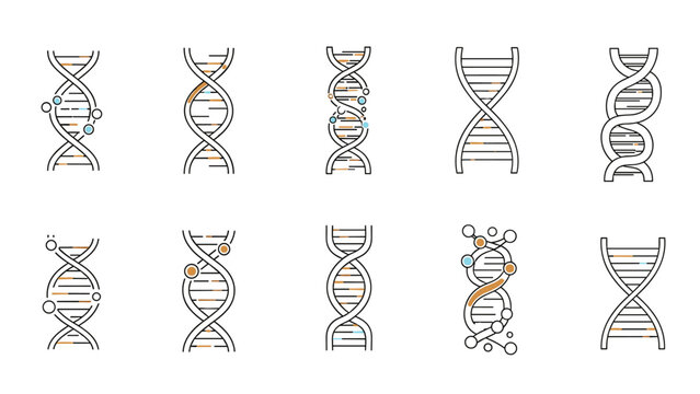 Collection of ten different DNA double helix structures depicted in various styles with colorful circular nodes.