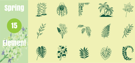 Set of 15 tropical leaf silhouettes and botanical garden elements © ABDUL