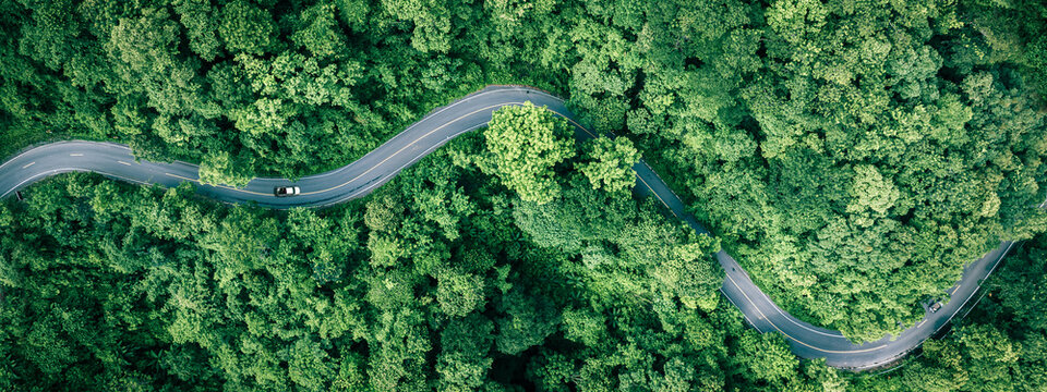 Forest road landscape showing sustainable travel and clean energy transportation concept for business marketing and modern eco technology presentations.