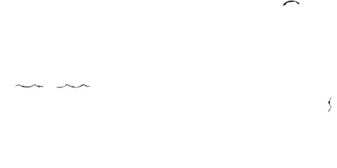 A dark minimalist image featuring a white whale tail and waves © Kopil