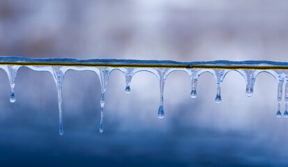 Close-up of clear icicles hanging from a wire against a soft blue background, showcasing winter cold and seasonal detail.