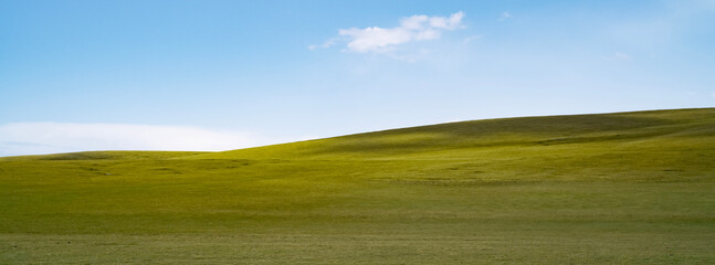 An endless grassland